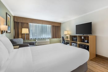 Standard Room, 1 Queen Bed, Non Smoking, Refrigerator & Microwave