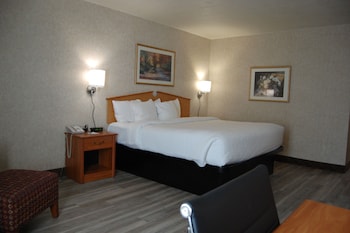 Room, 1 King Bed, Non Smoking