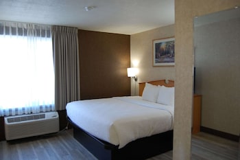 Room, 1 King Bed, Non Smoking
