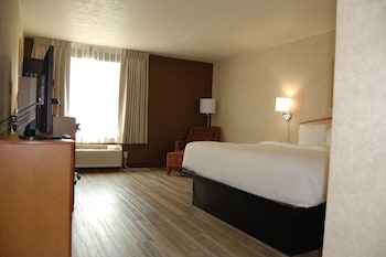 Room, 1 King Bed, Non Smoking