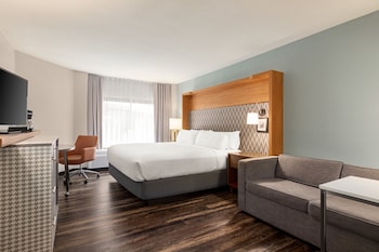 Standard Room, 1 King Bed with Sofa bed (Pet Friendly)