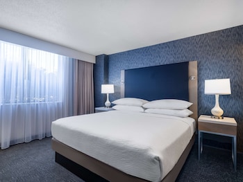 Suite, 1 King Bed, Accessible, Bathtub (Mobility Accessible)