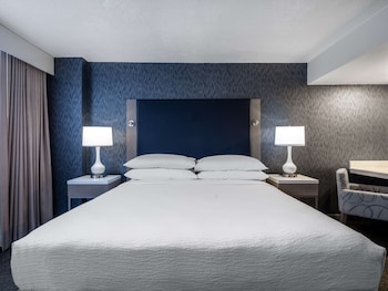 Suite, 1 King Bed, Accessible, Bathtub (Mobility Accessible)