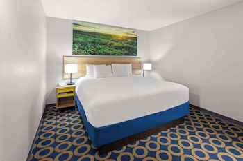 Suite, 1 King Bed, Non Smoking (One-Bedroom Suite)