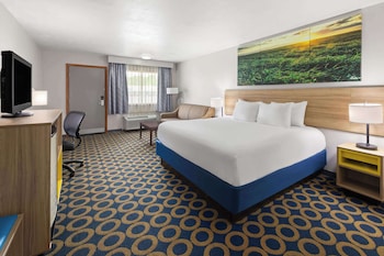 Room, 1 King Bed, Non Smoking