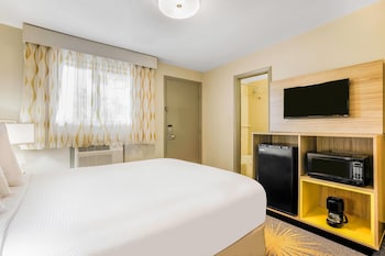 Room, 1 Queen Bed, Non Smoking
