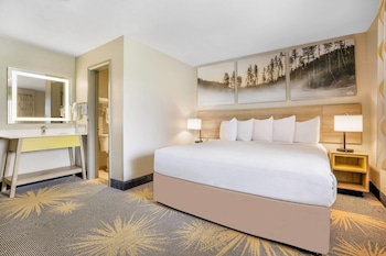 Room, 1 King Bed, Non Smoking, Microwave