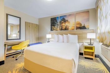 Room, 1 Queen Bed, Non Smoking