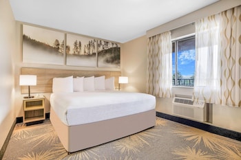 Room, 1 King Bed, Non Smoking, Microwave