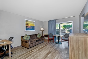 Deluxe Suite, 1 Bedroom, Accessible, Non Smoking (Mobility, Roll-In-Shower)