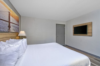 Deluxe Suite, 1 Bedroom, Accessible, Non Smoking (Mobility, Roll-In-Shower)
