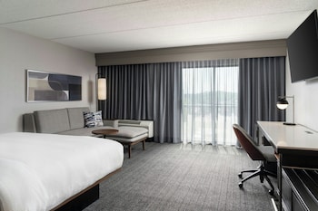 Room, 1 King Bed with Sofa bed