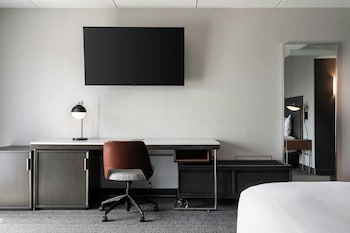 Suite, 1 King Bed with Sofa bed