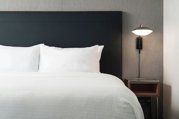 Suite, 1 King Bed with Sofa bed