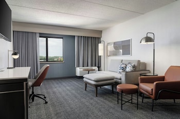 Suite, 1 King Bed with Sofa bed