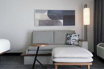 Room, 1 King Bed with Sofa bed