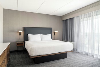 Suite, 1 King Bed with Sofa bed