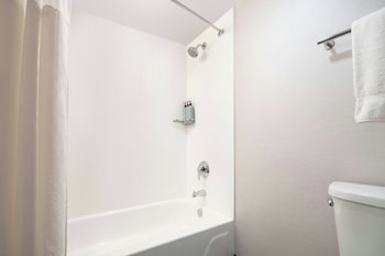 Room, 1 King Bed with Sofa bed, Hearing Accessible (Roll-in Shower)
