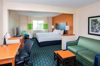 Suite, 1 King Bed with Sofa bed