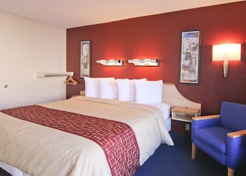 Superior Room, 1 King Bed, Non Smoking