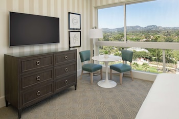 Deluxe Room Mobility/Hearing Access Bathtub