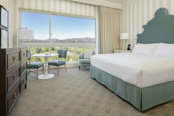 Deluxe Room Mobility/Hearing Access Ri Shwr