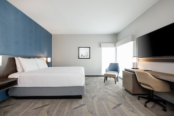 Room, 1 King Bed with Sofa bed (Specialty)
