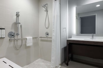 Room, 1 King Bed with Sofa bed (Roll-in Shower)