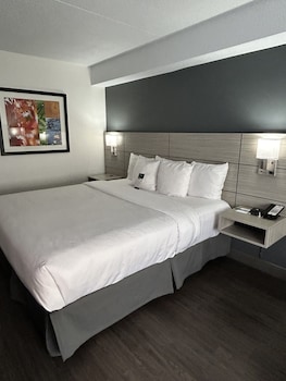 Business Room, 1 King Bed, Non Smoking