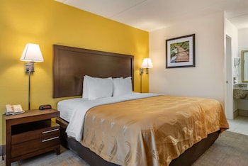 Room, 1 King Bed, Accessible, Non Smoking