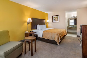 Room, 1 King Bed, Accessible, Non Smoking