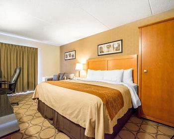 Executive Room, 1 King Bed with Sofa bed, Non Smoking, Ground Floor