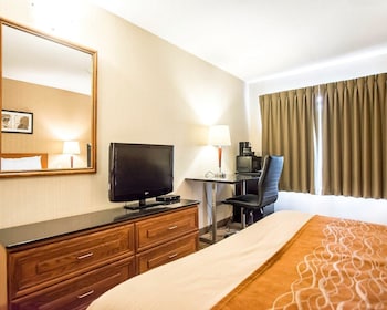 Executive Room, 1 King Bed with Sofa bed, Non Smoking, Ground Floor