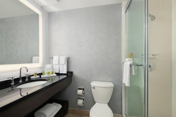 Family Suite, Multiple Beds