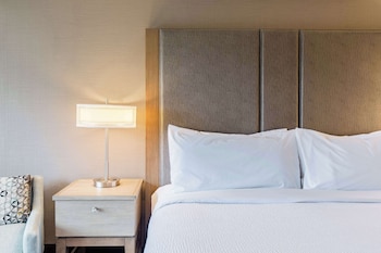 Room, 1 King Bed