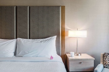 Room, 1 King Bed, Accessible