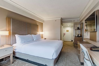 Room, 1 King Bed