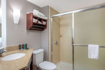 Deluxe Room, 1 King Bed with Sofa bed, Non Smoking