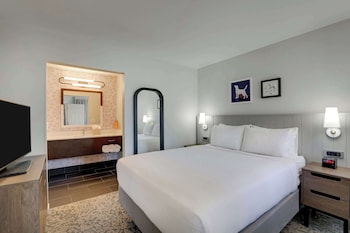 Suite, 1 Queen Bed with Sofa bed (One Bedroom)