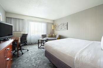 Room, 1 King Bed with Sofa bed