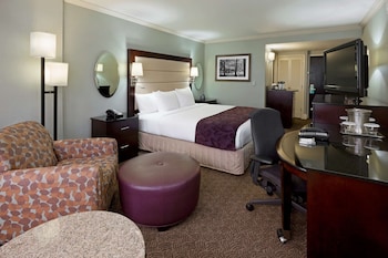Room, 1 King Bed, Non Smoking