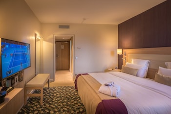 Deluxe Room, 1 Double Bed, Park View