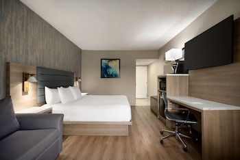 Room, 1 King Bed, Non Smoking, Refrigerator & Microwave