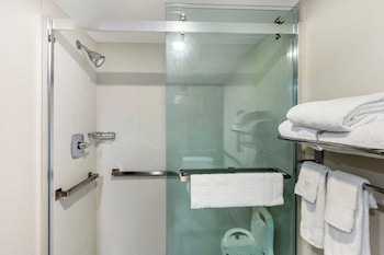 Room, 1 King Bed, Roll-in Shower