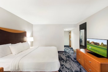 Room, 1 King Bed, Roll-in Shower