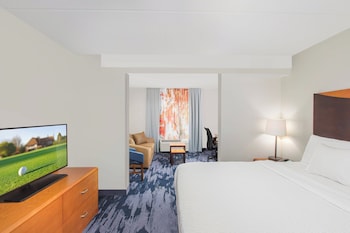 Suite, 1 King Bed with Sofa bed
