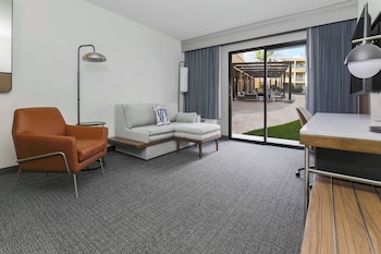 Room, 1 King Bed with Sofa bed