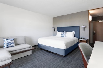 Room, 1 King Bed with Sofa bed