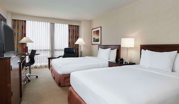 Business Room, 2 Double Beds
