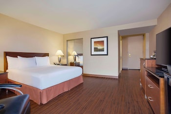 Room, 1 King Bed, Accessible, Allergy Friendly